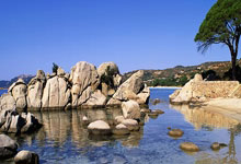 莫尔德vs维京今天比赛结果是什么？